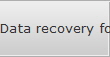 Data recovery for South Madison data